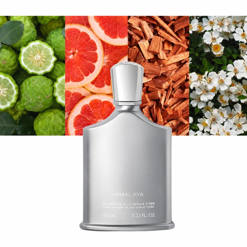 عطر أفينتوس للرجال 100 مل، عطر - مراجعة Perfume Fresh Fragrance وسعره